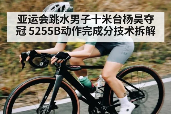亚运会跳水男子十米台杨昊夺冠 5255B动作完成分技术拆解